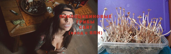 ECSTASY Карталы